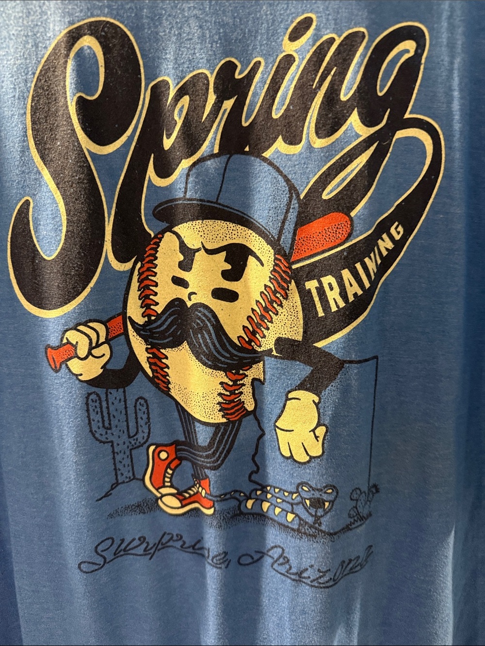 Men's Light Blue 'Spring Training' Graphic Tee